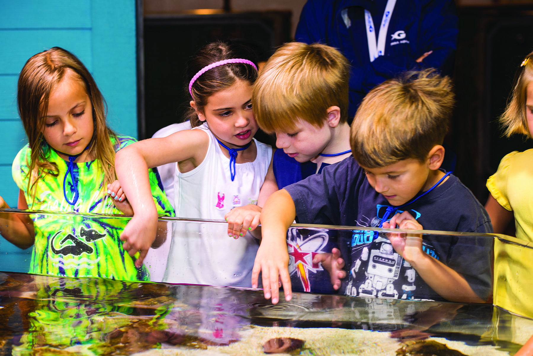 Top 10 Best Attractions in Atlanta atlantaparent