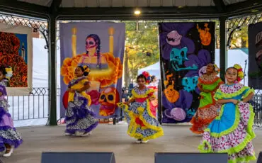 Fun Things to Do This Week