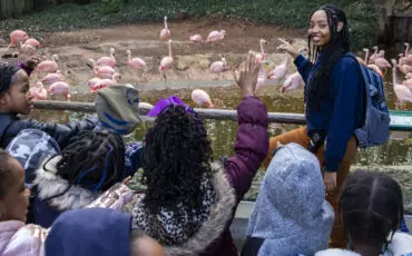 Top Field Trips for Schools, Groups and Families in Atlanta and Beyond