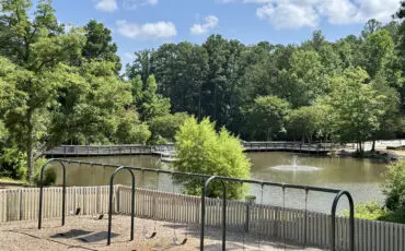 In the Neighborhood: Woodstock