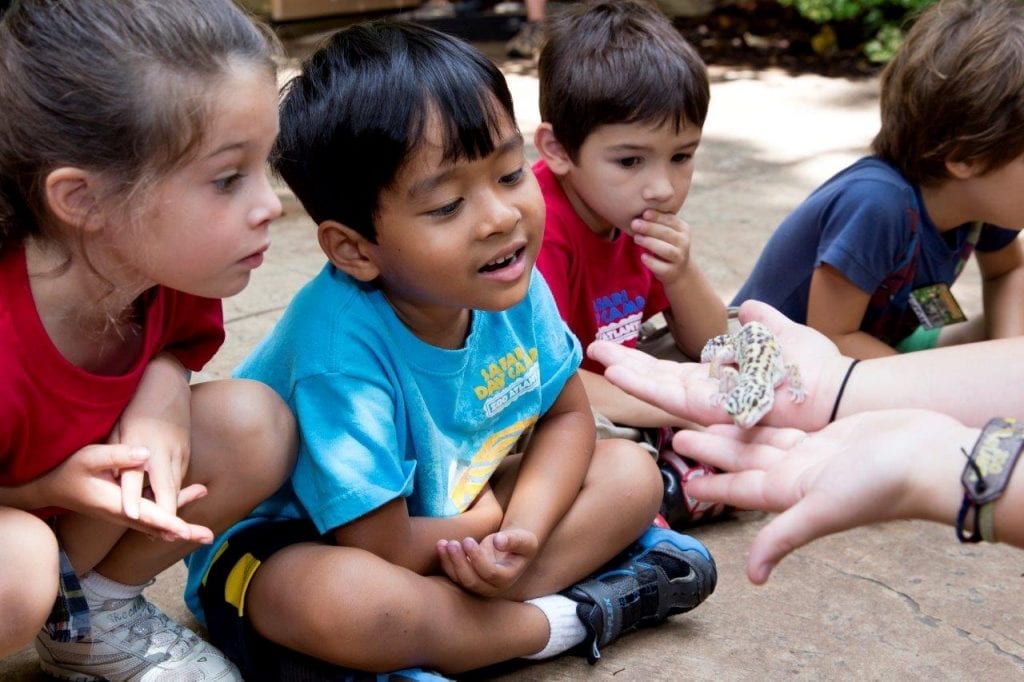 Zoo atlanta camp Camp programs are rain or shine. However, Camp programs may be cancelled due to inclement weather, in which case the Zoo will notify participants of the cancellation as soon as possible prior to the program. If this happens, a full refund will be issued for the cancelled day.