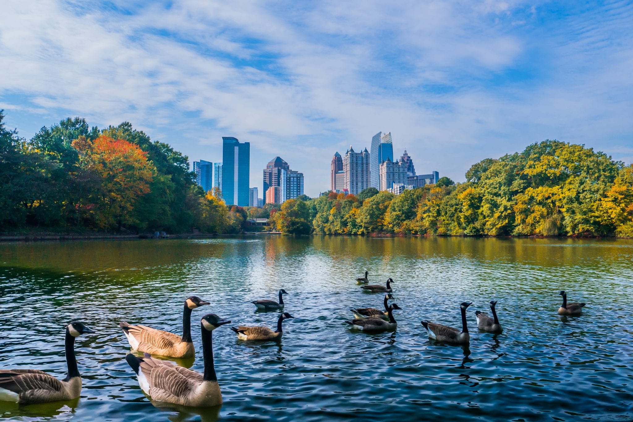 65 fun things to do with kids in atlanta