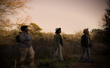Fun Things to Do This Week