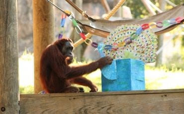 Fun Things to Do This Week