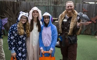 Fun Things to Do This Week