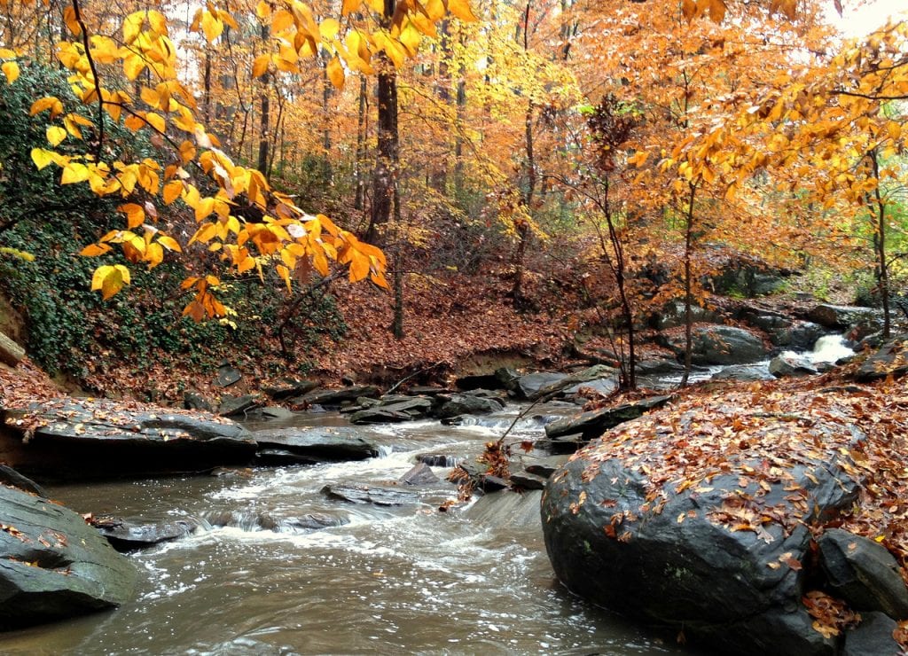 wilderness walks near me