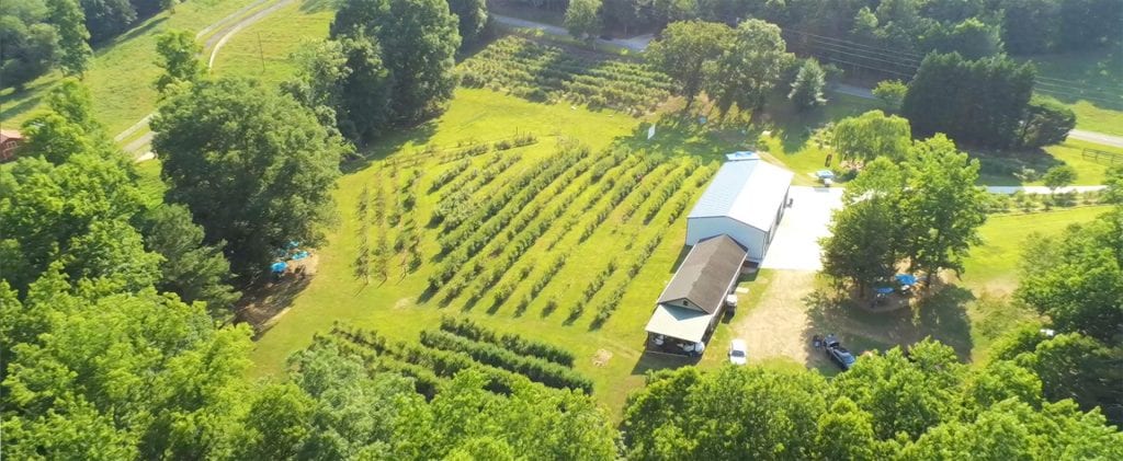 Cool Springs Blueberry Farm