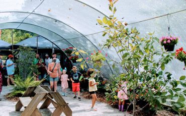 Fun Things to Do This Week