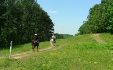 In the Neighborhood: Conyers/Covington